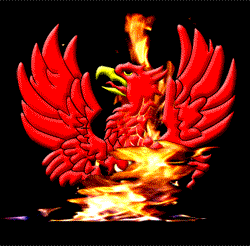 Phoenix-on-Fire-web