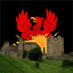 Phoenix Rising Video - Click for info