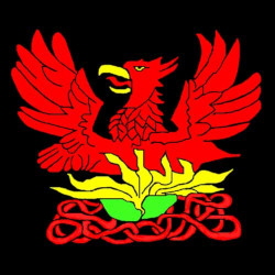 Phoenix Rising Video cover