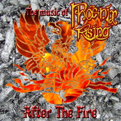 After The Fire cover