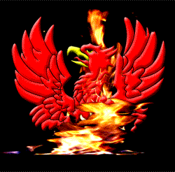 Phoenix on Fire